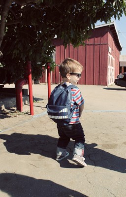 Apple Picking_3096