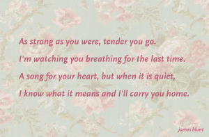 tenderyougo
